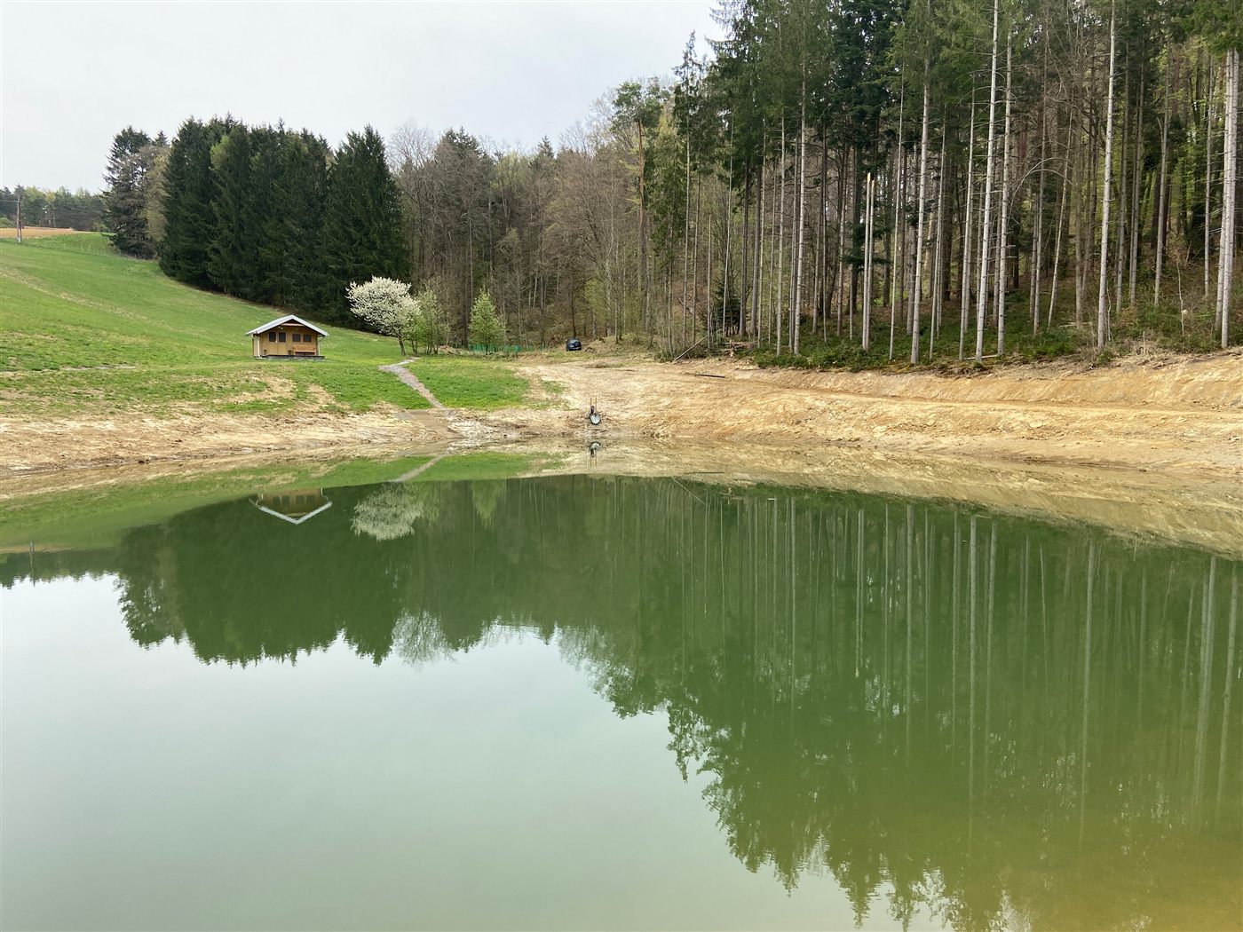 Neu errichteter Teich mit Gerätehütte am Waldrand